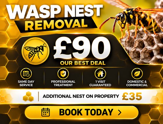 Wasp nest removal £90, our best deal, same day service, professional treatment, 1 visit guaranteed, domestic and commercial, additional nest on property £35